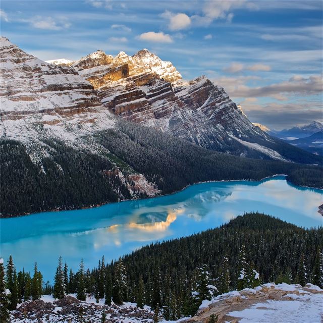 2048x2048 peyto lake canada 5k - landscape iPad Air Wallpaper