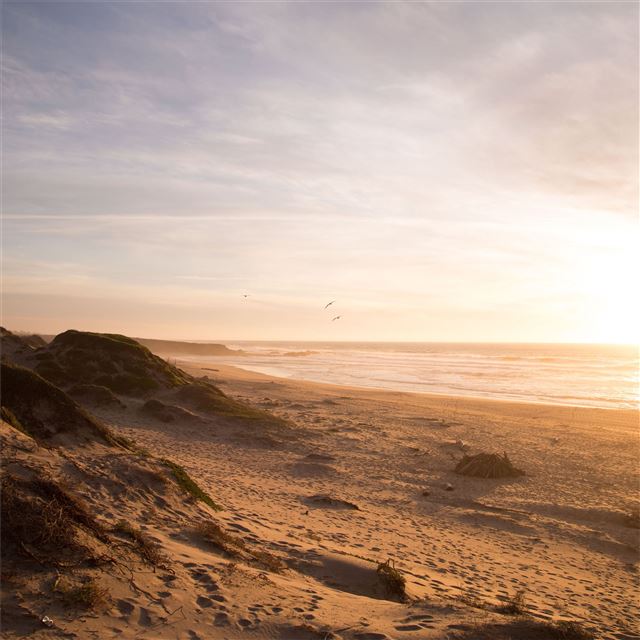 2048x2048 5k beach ocean dunes - ocean iPad Air Wallpaper