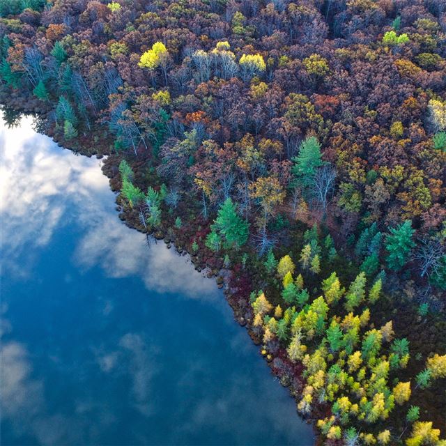 2048x2048 aerial view from top trees 4k - river iPad Air Wallpaper