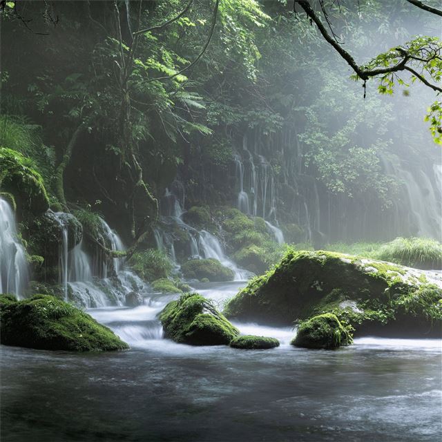 2048x2048 spring waterfall stone fog mist green forest 8k - 5k iPad Air Wallpaper
