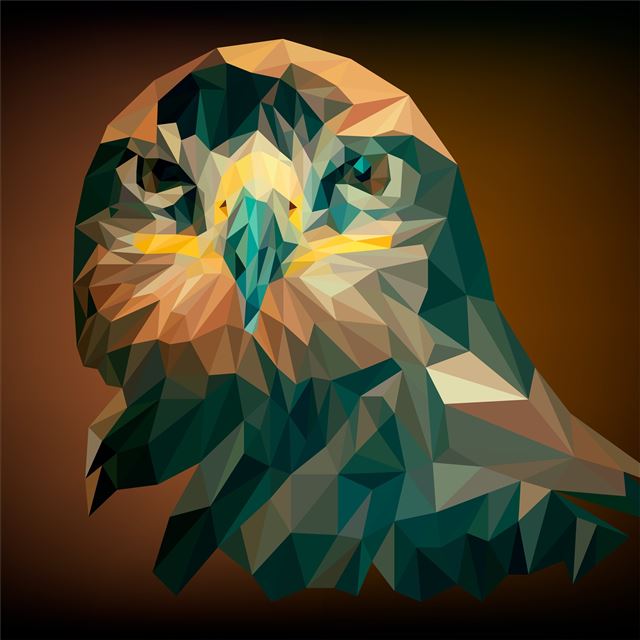 2048x2048 artistic abstract owl - 5k iPad Air Wallpaper