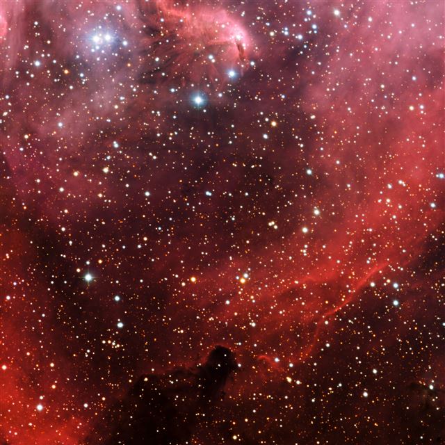2048x2048 Millions Of Stars -  iPad Wallpaper