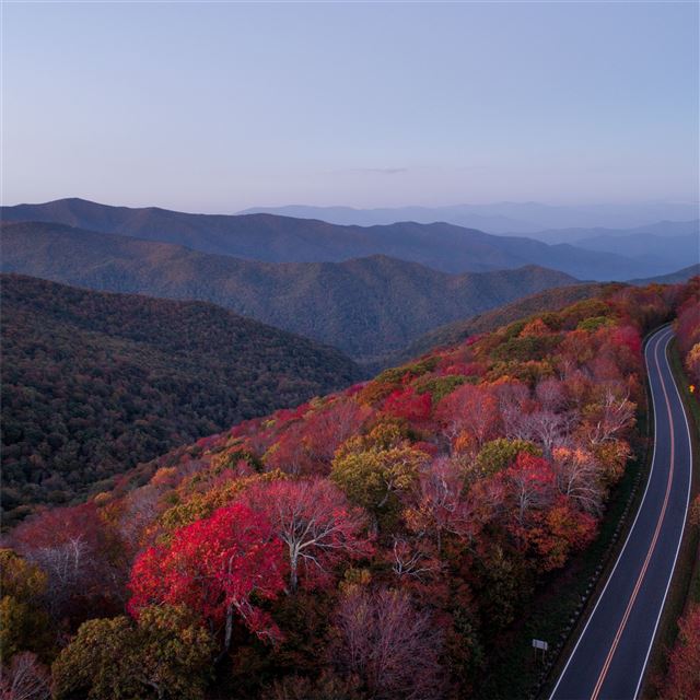 2048x2048 road through autumn forest and trees - trees iPad Air Wallpaper