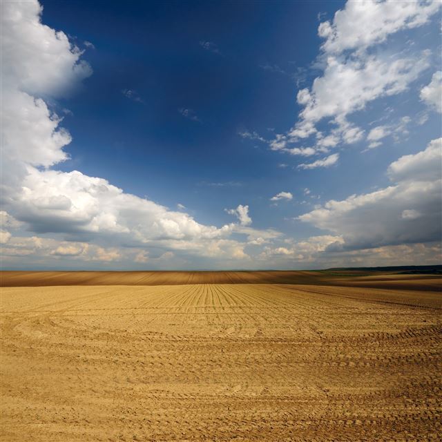2048x2048 Planting season - white iPad Air Wallpaper