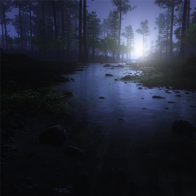 2048x2048 water stream night forest 4k - water iPad Air Wallpaper