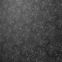 Texture Black White Patterns Tigers wallpaper