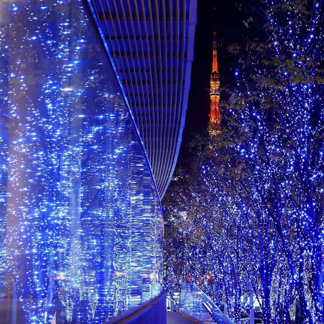 2048x2048 Tree lights and reflections - lights iPad Air Wallpaper