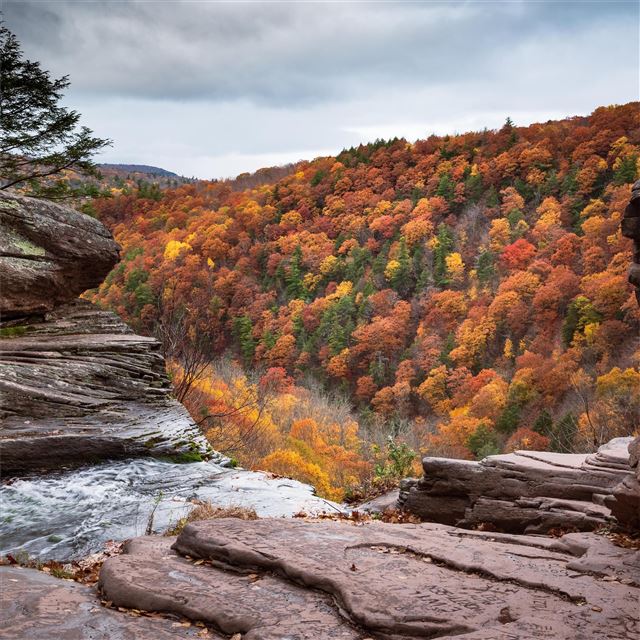 2048x2048 kaaterskill falls 5k - autumn iPad Air Wallpaper