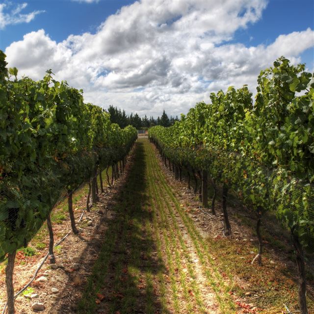 2048x2048 The Wines Of New Zealand - cloud iPad Air Wallpaper
