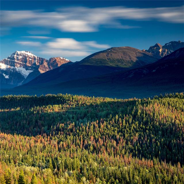 2048x2048 canada mountains forests parks 4k - forest iPad Air Wallpaper