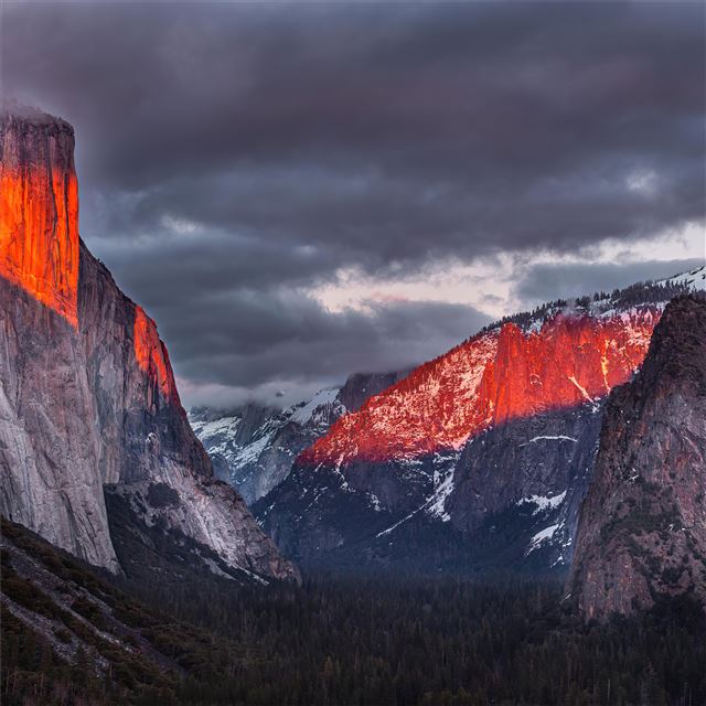 2048x2048 tunnel view yosemite 5k - yosemite iPad Air Wallpaper