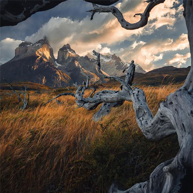 2732x2732 torresdel paine national park - national park iPad Air Wallpaper