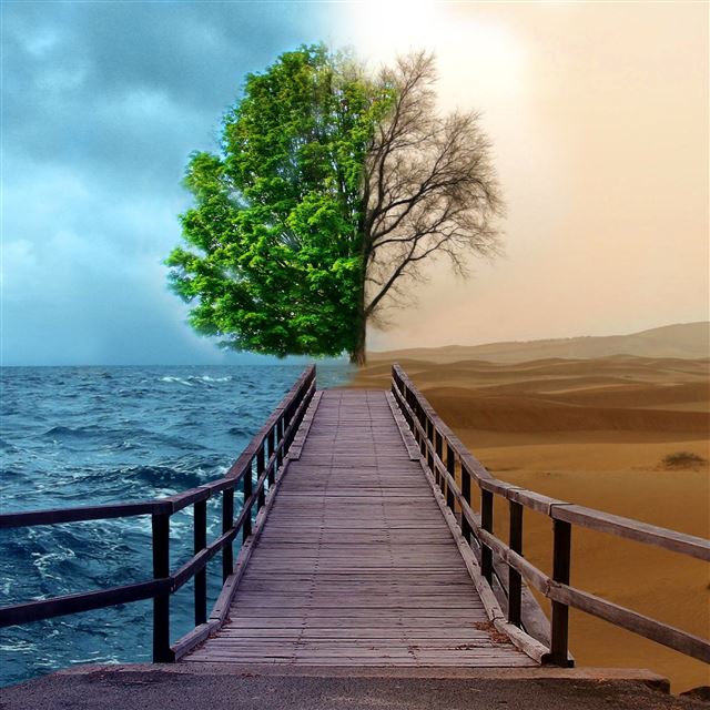 2048x2048 Half Life Tree - bridge iPad Air Wallpaper