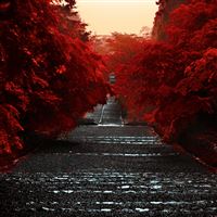 Japan Honshu Island wallpaper