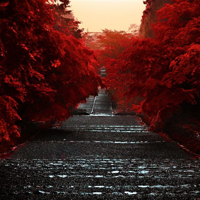 2048x2048 Japan Honshu Island - road iPad Air Wallpaper