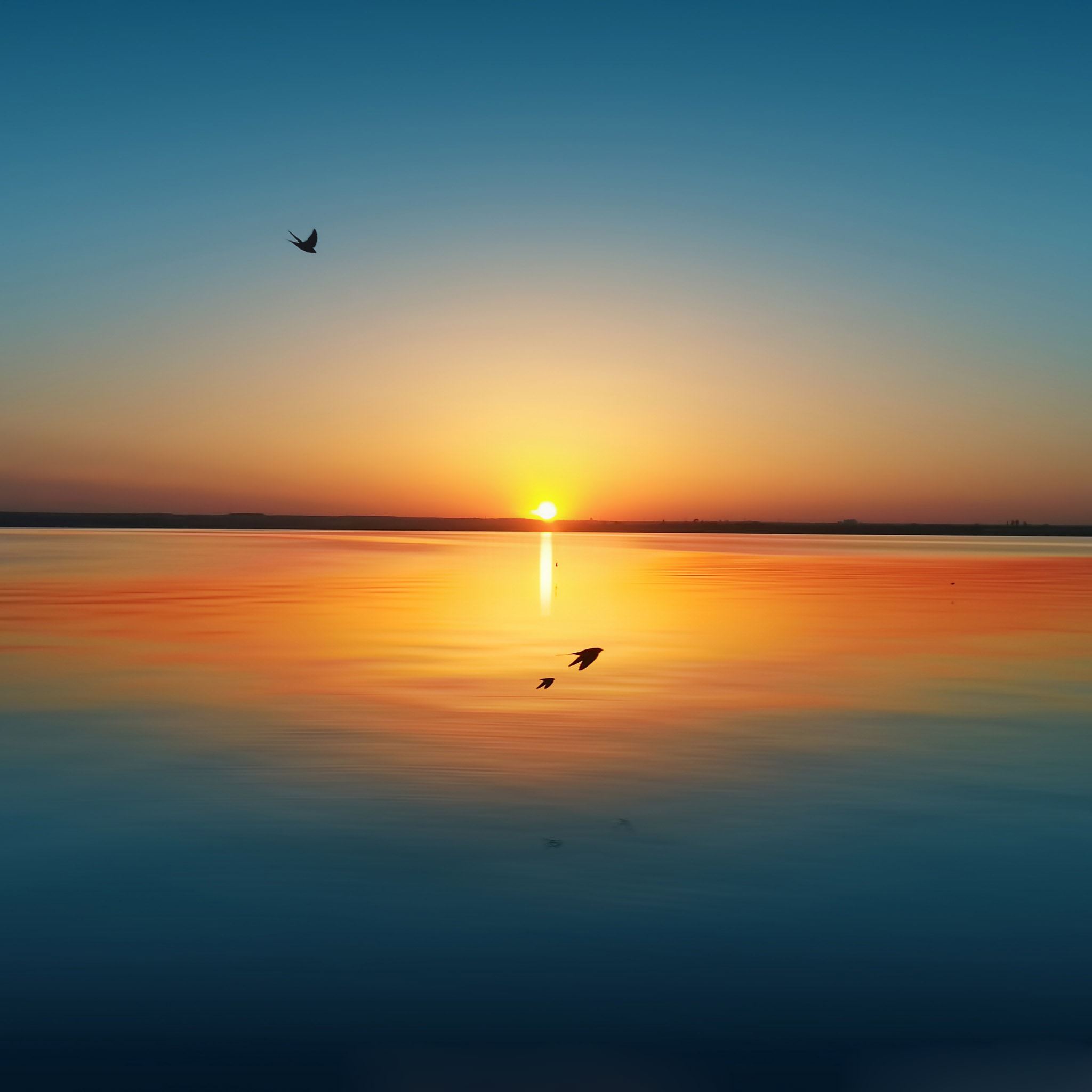Sunset over lake iPad Air wallpaper 