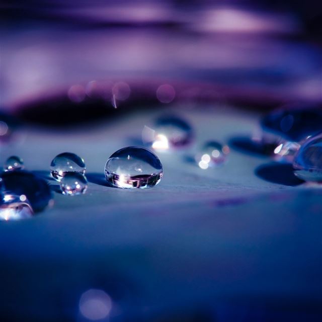 2048x2048 Water Drops Macro Depth Of Field - field iPad Air Wallpaper