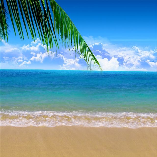 2048x2048 Summer Beach -  iPad Air Wallpaper