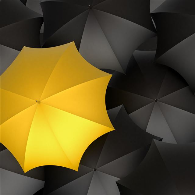 2048x2048 Let it rain - umbrella iPad Air Wallpaper