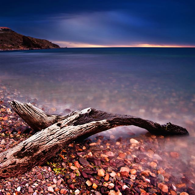 2048x2048 Driftwood - pink iPad Air Wallpaper