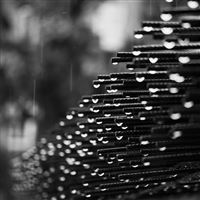 Best Iron rods iPad Air HD Wallpapers - iLikeWallpaper