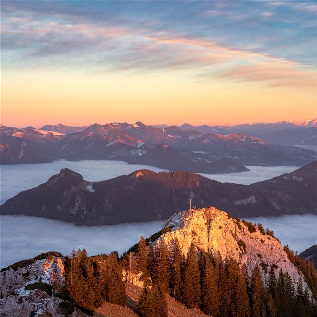 2732x2732 brown green trees on mountains 8k - trees iPad Air Wallpaper