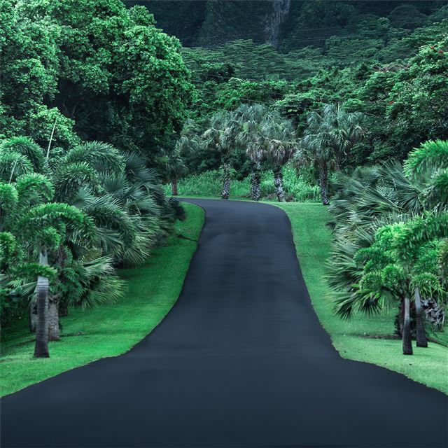 2732x2732 green road nature 4k - road iPad Air Wallpaper