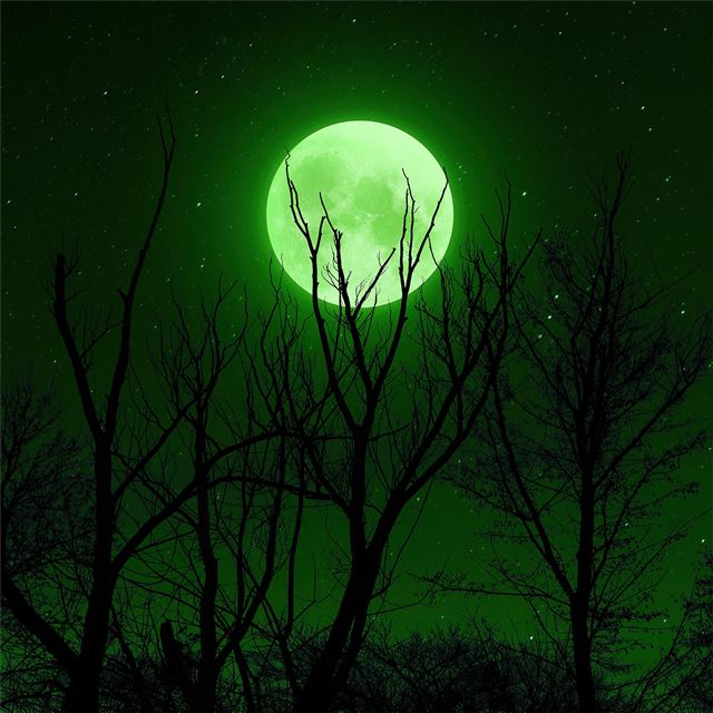 2732x2732 full moon green 5k - moon iPad Air Wallpaper
