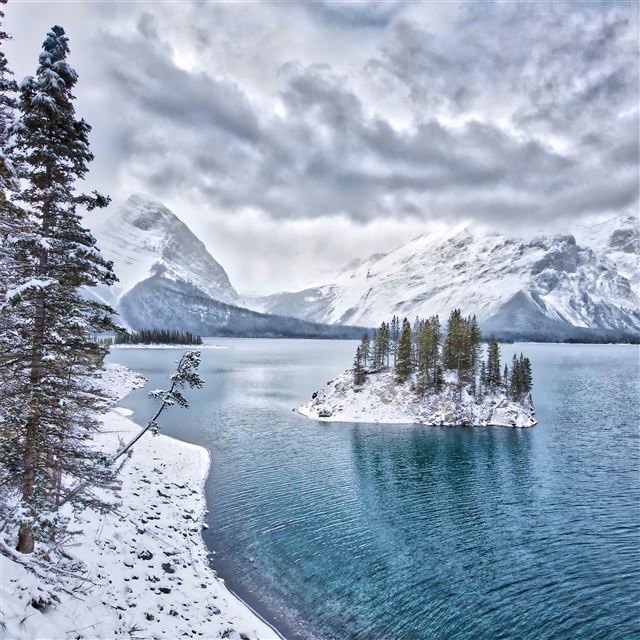 2732x2732 winter wonderland 4k - winter iPad Air Wallpaper
