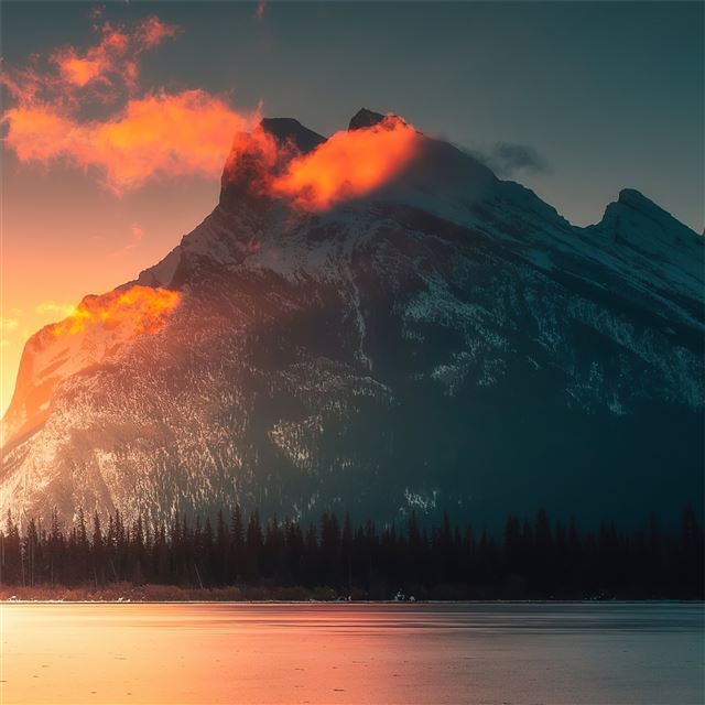 2732x2732 morning orange sunlight - nature iPad Air Wallpaper