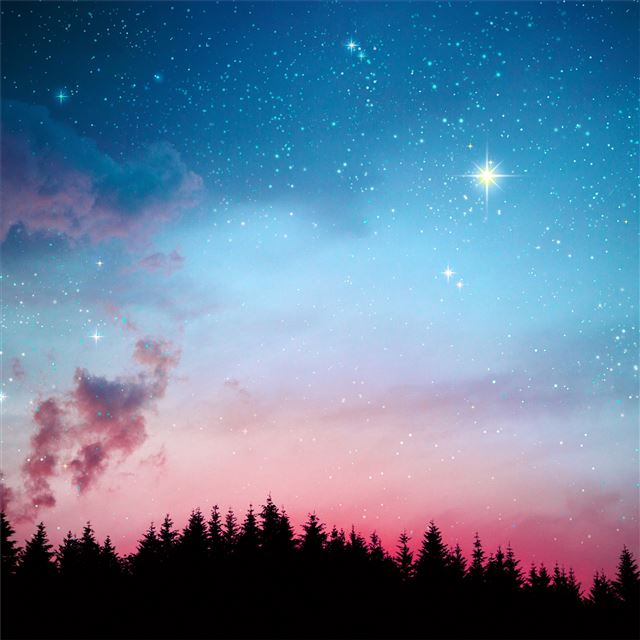 2732x2732 galaxy stars lights forest night 5k - nature iPad Air Wallpaper