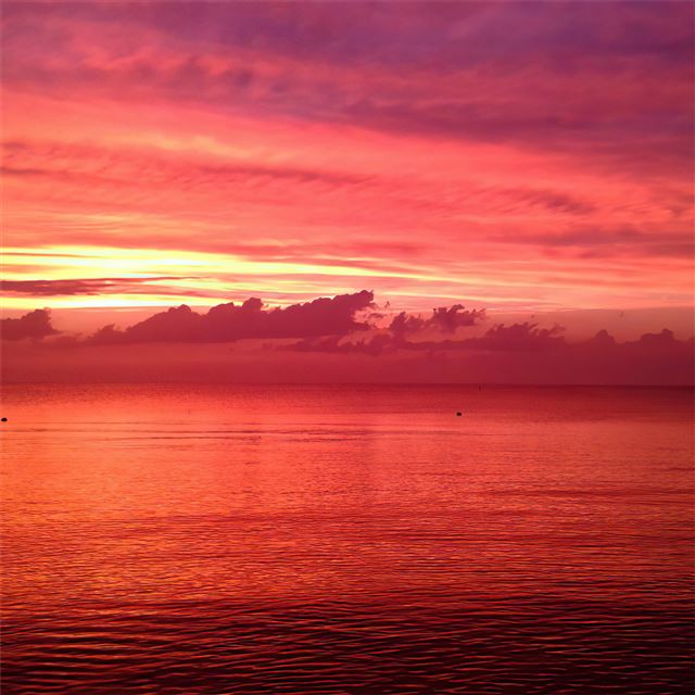 2048x2048 peaceful sunset 5k -  iPad Air Wallpaper