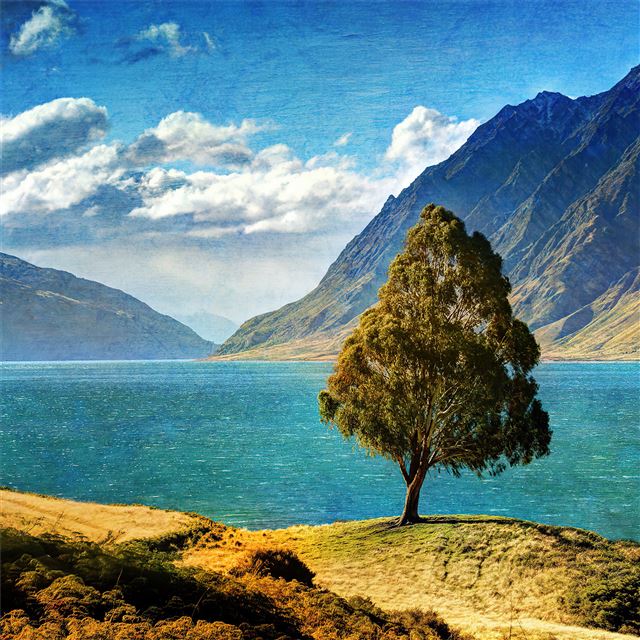 2048x2048 tree mountain glacial lake 4k -  iPad Air Wallpaper