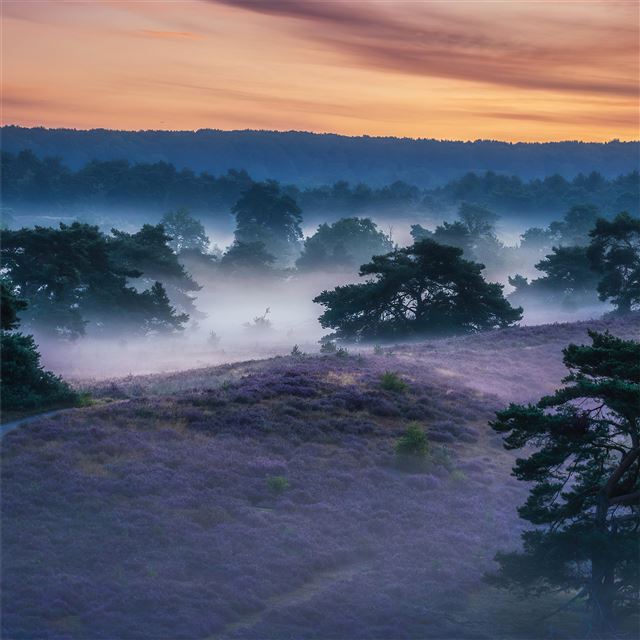 2732x2732 landscape field outdoor sky - nature iPad Air Wallpaper