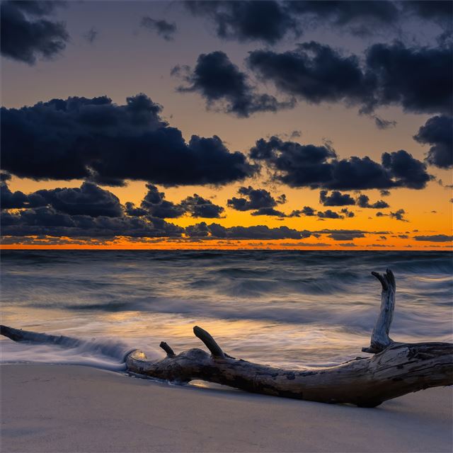 2732x2732 sea sunset clouds sky 5k -  iPad Air Wallpaper
