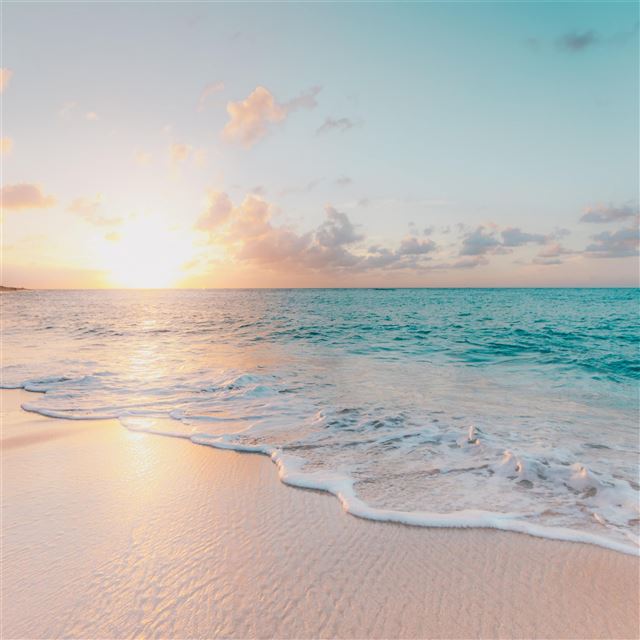 2732x2732 seashore during golden hour 5k -  iPad Air Wallpaper