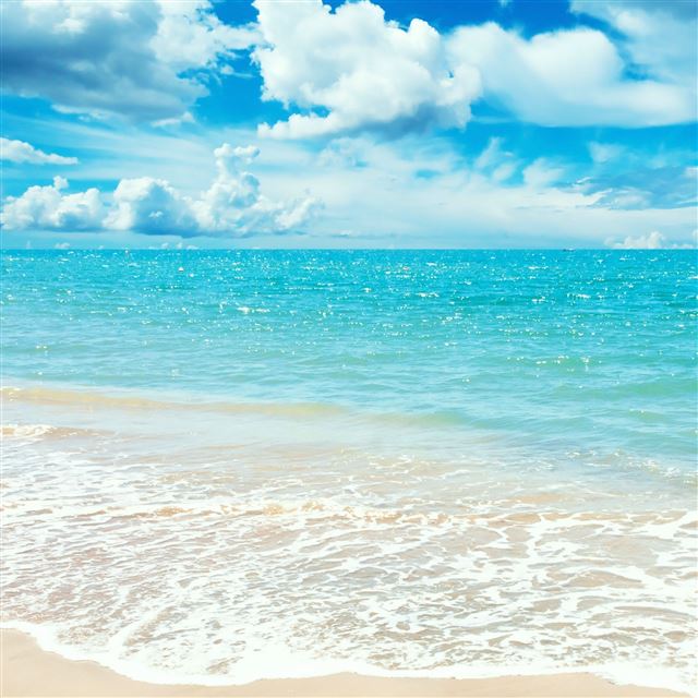 2048x2048 Sunny Day - water iPad Air Wallpaper