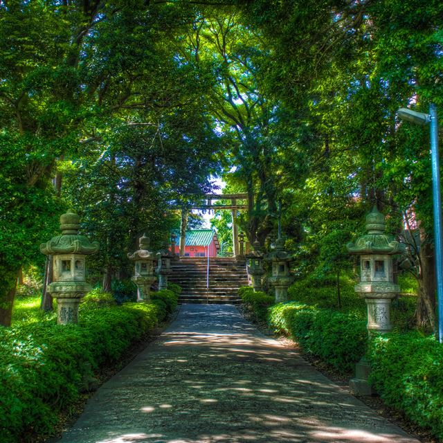 2048x2048 Walking towards the shinto shrine - road iPad Air Wallpaper