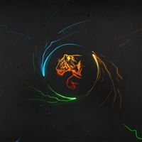 Tiger Minimalism Loop wallpaper