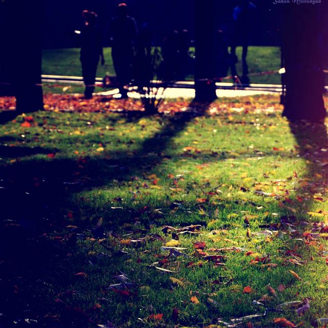 2048x2048 Armenian Autumn - sunshine iPad Air Wallpaper