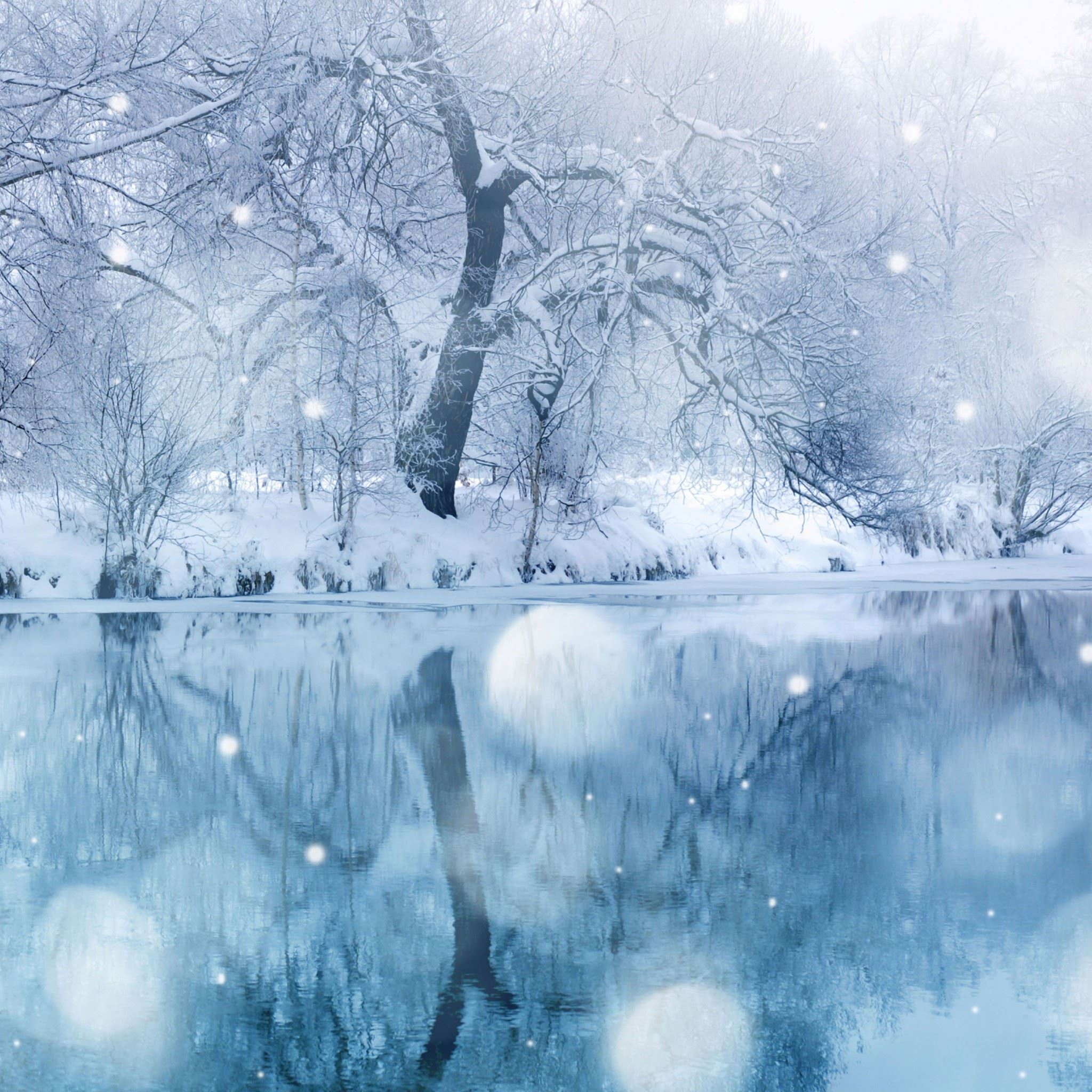 Winter Snowfall iPad Air wallpaper 