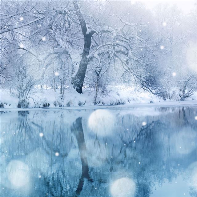 2048x2048 Winter Snowfall - lake iPad Air Wallpaper