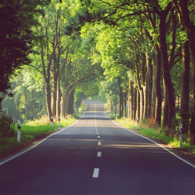 2048x2048 Alley - road iPad Air Wallpaper