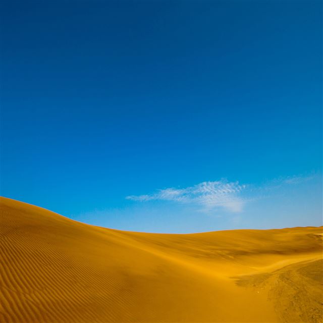 2048x2048 Golden desert - landscape iPad Air Wallpaper