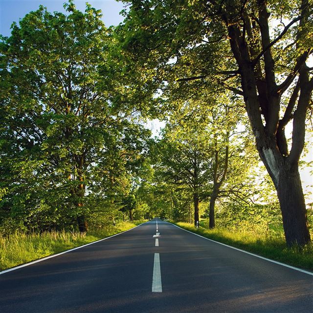 2048x2048 Spring road - road iPad Air Wallpaper
