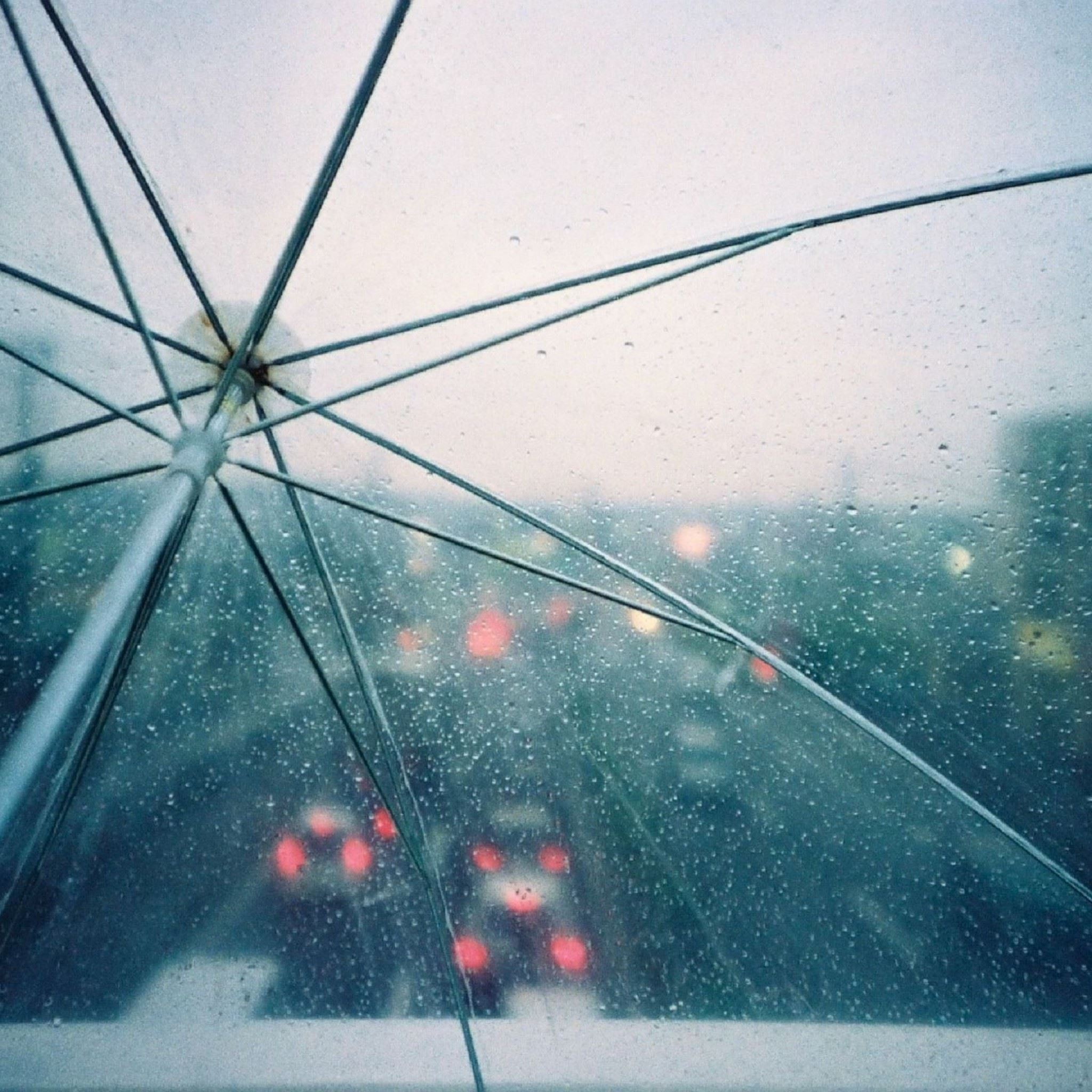 350 Rain Pictures Hd Download Free Images Stock