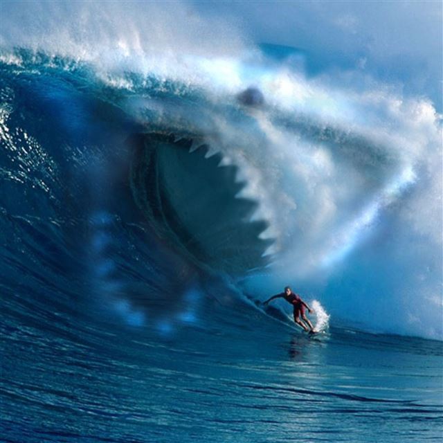 2048x2048 Shark Wave Water Surfing Ocean - white iPad Air Wallpaper
