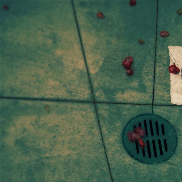 2048x2048 Sewer mouth - flower iPad Air Wallpaper