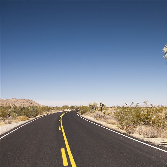 2048x2048 Joshua Tree Desert Road - desert iPad Air Wallpaper