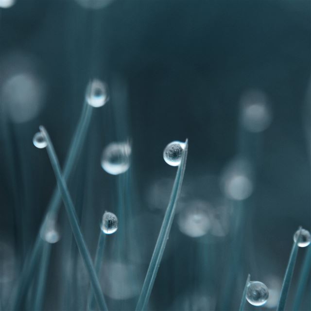 2048x2048 Drops -  iPad Wallpaper
